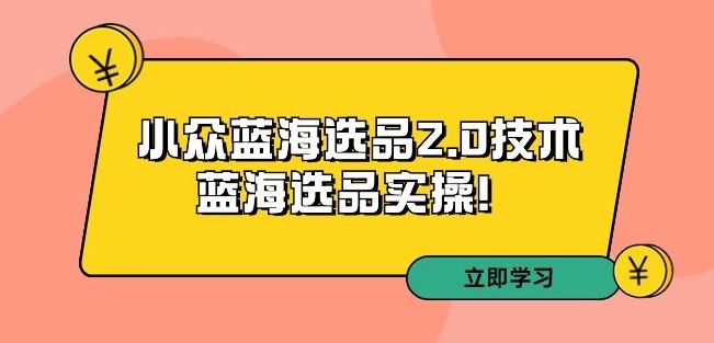 拼多多培训第33期：小众蓝海选品2.0技术-蓝海选品实操_免费分享网络创业,副业,信息差项目的老牌资源整合平台！金铲子项目