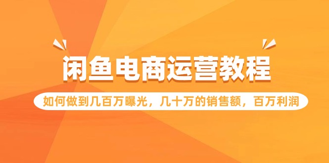（9560期）闲鱼电商运营教程：如何做到几百万曝光，几十万的销售额，百万利润_免费分享网络创业,副业,信息差项目的老牌资源整合平台！金铲子项目
