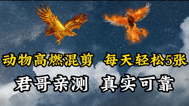 动物超燃混剪，每天，剪辑简单大家爱看_免费分享网络创业,副业,信息差项目的老牌资源整合平台！金铲子项目