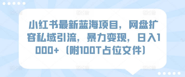 小红书最新蓝海项目，网盘扩容私域引流，暴力，（附100T占位文件）_免费分享网络创业,副业,信息差项目的老牌资源整合平台！金铲子项目