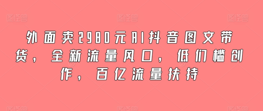 外面卖2980元AI抖音图文带货，全新流量风口，低们槛创作，百亿流量扶持_免费分享网络创业,副业,信息差项目的老牌资源整合平台！金铲子项目