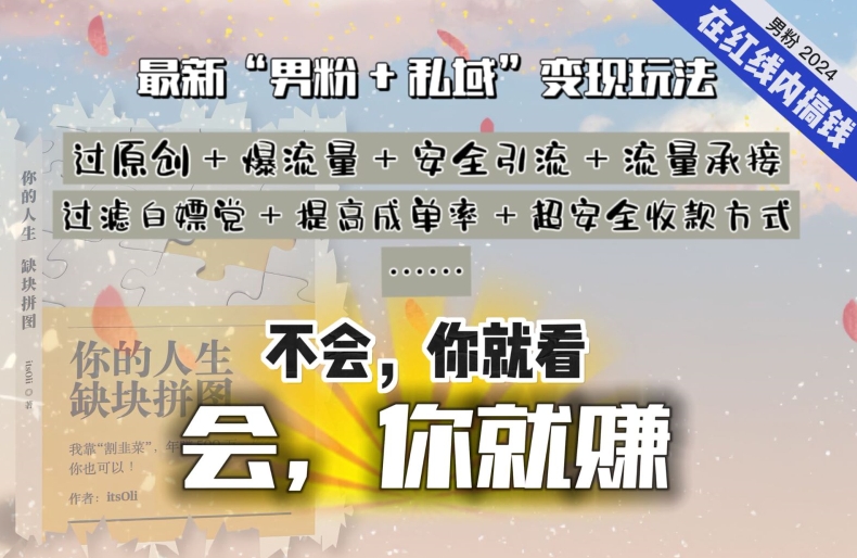 2024，“男粉私域”还是最耐造、最赚、最、最愉快的方式_免费分享网络创业,副业,信息差项目的老牌资源整合平台！金铲子项目