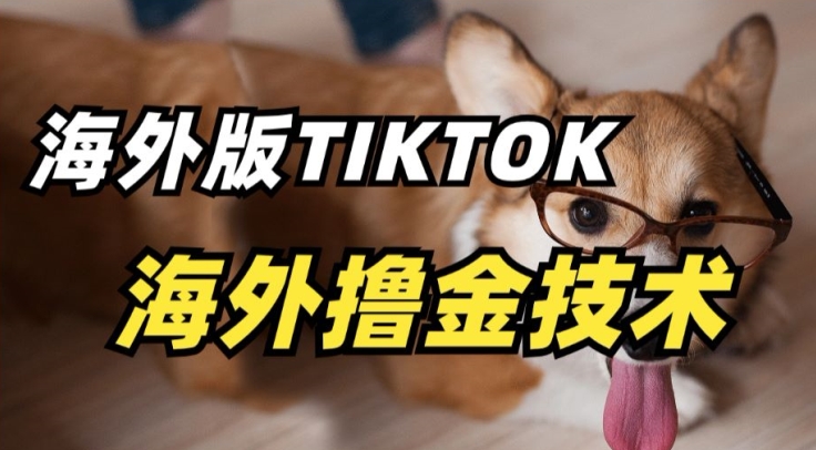 抖音海外版tiktok撸金技术，这个风口行业，赚钱真的不难_免费分享网络创业,副业,信息差项目的老牌资源整合平台！金铲子项目