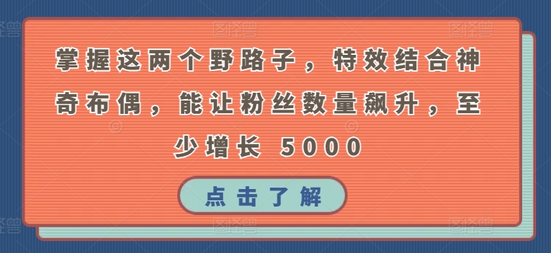 掌握这两个野路子，特效结合神奇布偶，能让粉丝数量飙升，至少增长5000_免费分享网络创业,副业,信息差项目的老牌资源整合平台！金铲子项目