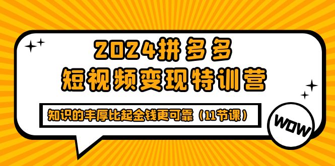 （9817期）2024拼多多短视频特训营，知识的丰厚比起金钱更可靠（11节课）_免费分享网络创业,副业,信息差项目的老牌资源整合平台！金铲子项目