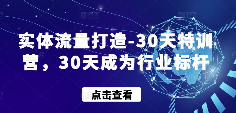 实体流量打造-30天特训营，30天成为行业标杆_免费分享网络创业,副业,信息差项目的老牌资源整合平台！金铲子项目