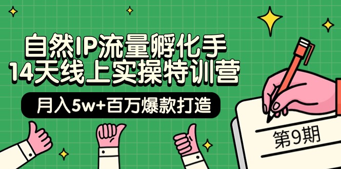 （9881期）自然IP流量孵化手14天线上实操特训营【第9期】百万爆款打造(74节)_免费分享网络创业,副业,信息差项目的老牌资源整合平台！金铲子项目