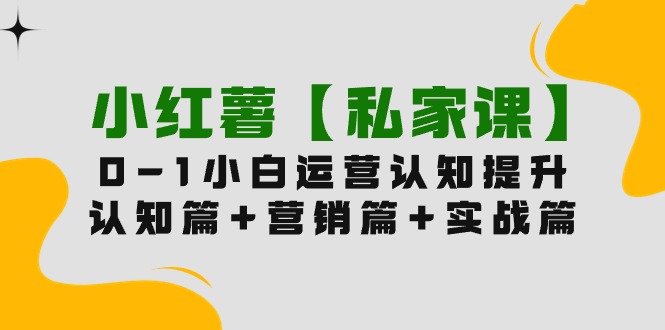 （9910期）小红薯【私家课】0-1玩赚小红书内容营销，认知篇营销篇实战篇（11节课）_免费分享网络创业,副业,信息差项目的老牌资源整合平台！金铲子项目