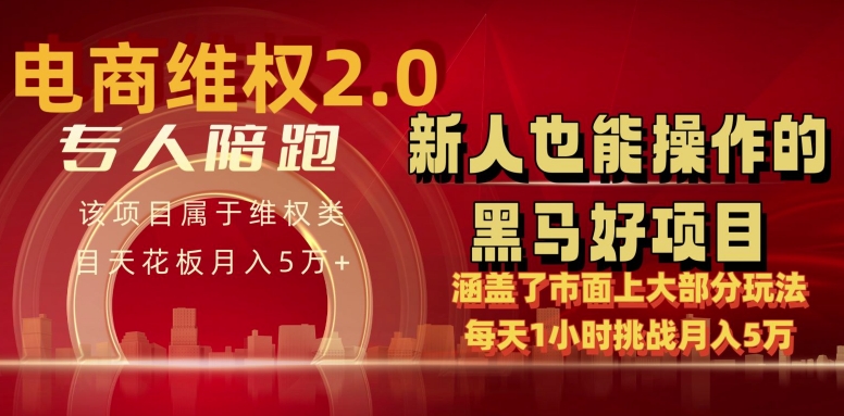 电商维权4.0如何做到5万每天1小时新人也能快速上手【仅揭秘】_免费分享网络创业,副业,信息差项目的老牌资源整合平台！金铲子项目