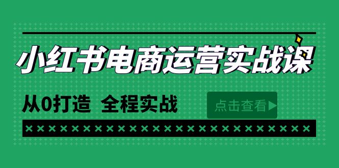 （9946期）最新小红书·电商运营实战课，从0打造全程实战（65节视频课）_免费分享网络创业,副业,信息差项目的老牌资源整合平台！金铲子项目