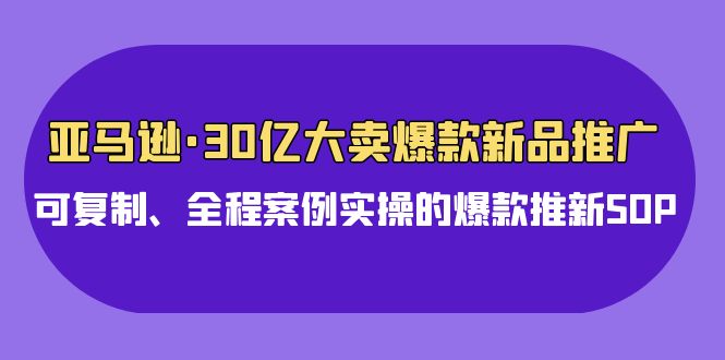 （9944期）亚马逊30亿·大卖爆款新品推广，可复制、全程案例实操的爆款推新SOP_免费分享网络创业,副业,信息差项目的老牌资源整合平台！金铲子项目