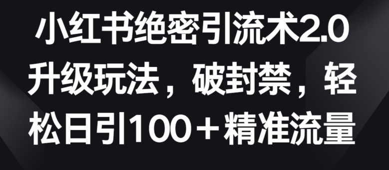 小红书绝密引流术2.0升级玩法，破封禁，日引精准流量_免费分享网络创业,副业,信息差项目的老牌资源整合平台！金铲子项目