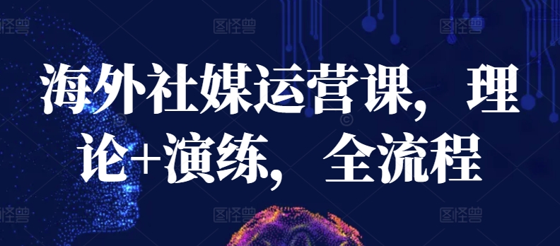 海外社媒运营课，理论演练，全流程_免费分享网络创业,副业,信息差项目的老牌资源整合平台！金铲子项目