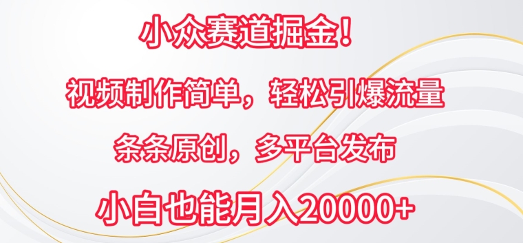 小众赛道掘金，视频制作简单，引爆流量，条条原创，多平台发布_免费分享网络创业,副业,信息差项目的老牌资源整合平台！金铲子项目
