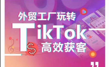 外贸工厂玩转TikTok高效获客，多种引流方式与账号定位技巧，拆解爆款短视频打造成功案例_免费分享网络创业,副业,信息差项目的老牌资源整合平台！金铲子项目