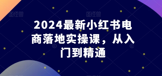 2024最新小红书电商落地实操课，从入门到精通_免费分享网络创业,副业,信息差项目的老牌资源整合平台！金铲子项目