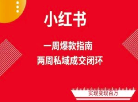 爆款小红书免费流量体系课程(两周)，小红书电商教程_免费分享网络创业,副业,信息差项目的老牌资源整合平台！金铲子项目