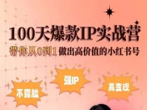 小红书100天爆款IP实战营，带你从0到1做出高价值的小红书号_免费分享网络创业,副业,信息差项目的老牌资源整合平台！金铲子项目