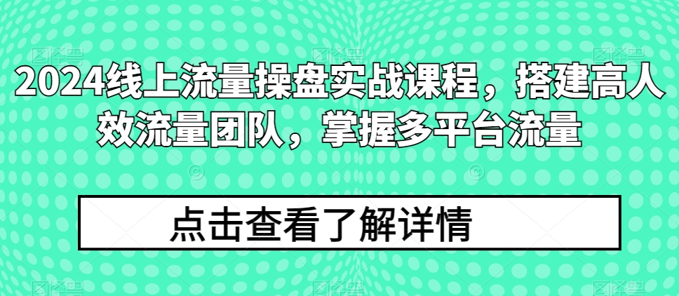 2024线上流量操盘实战课程，搭建高人效流量团队，掌握多平台流量_免费分享网络创业,副业,信息差项目的老牌资源整合平台！金铲子项目