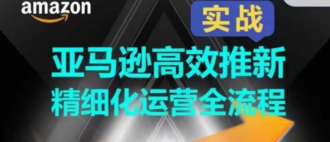 亚马逊高效推新精细化运营全流程，全方位、快速拉升产品排名和销量_免费分享网络创业,副业,信息差项目的老牌资源整合平台！金铲子项目
