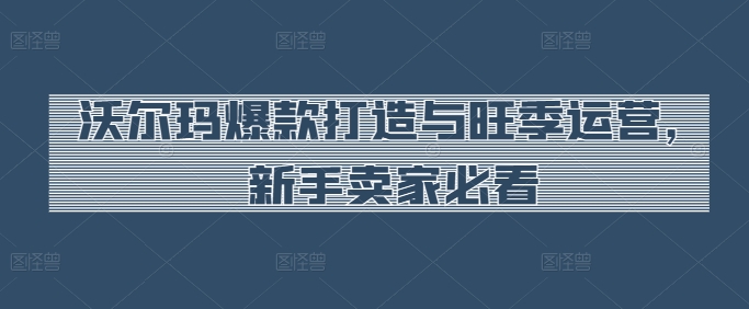 沃尔玛爆款打造与旺季运营，新手卖家必看_免费分享网络创业,副业,信息差项目的老牌资源整合平台！金铲子项目