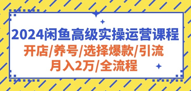 2024闲鱼高级实操运营课程：开店/养号/选择爆款/引流/2万/全流程_免费分享网络创业,副业,信息差项目的老牌资源整合平台！金铲子项目