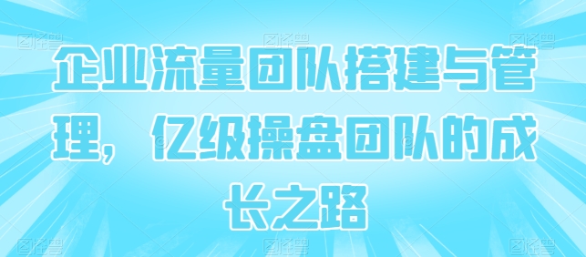 企业流量团队搭建与管理，亿级操盘团队的成长之路_免费分享网络创业,副业,信息差项目的老牌资源整合平台！金铲子项目