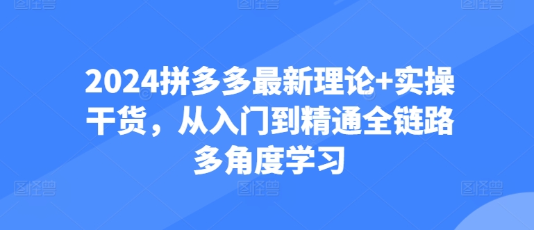 2024拼多多最新理论实操干货，从入门到精通全链路多角度学习_免费分享网络创业,副业,信息差项目的老牌资源整合平台！金铲子项目