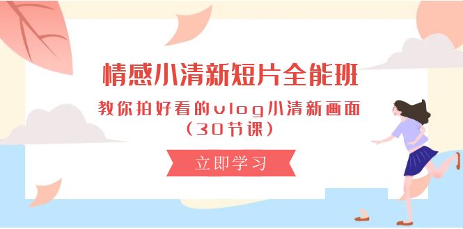 （10567期）情感小清新短片-全能班，教你拍好看的vlog小清新画面(30节课)_免费分享网络创业,副业,信息差项目的老牌资源整合平台！金铲子项目