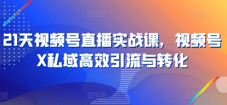 21天视频号直播实战课，视频号X私域高效引流与转化_免费分享网络创业,副业,信息差项目的老牌资源整合平台！金铲子项目