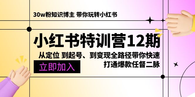 （10666期）小红书特训营12期：从定位到起号、到全路径带你快速打通爆款任督二脉_免费分享网络创业,副业,信息差项目的老牌资源整合平台！金铲子项目