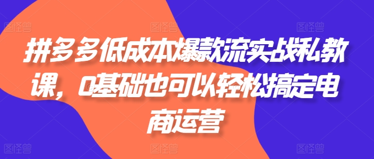 拼多多爆款流实战私教课，0基础也可以搞定电商运营_免费分享网络创业,副业,信息差项目的老牌资源整合平台！金铲子项目