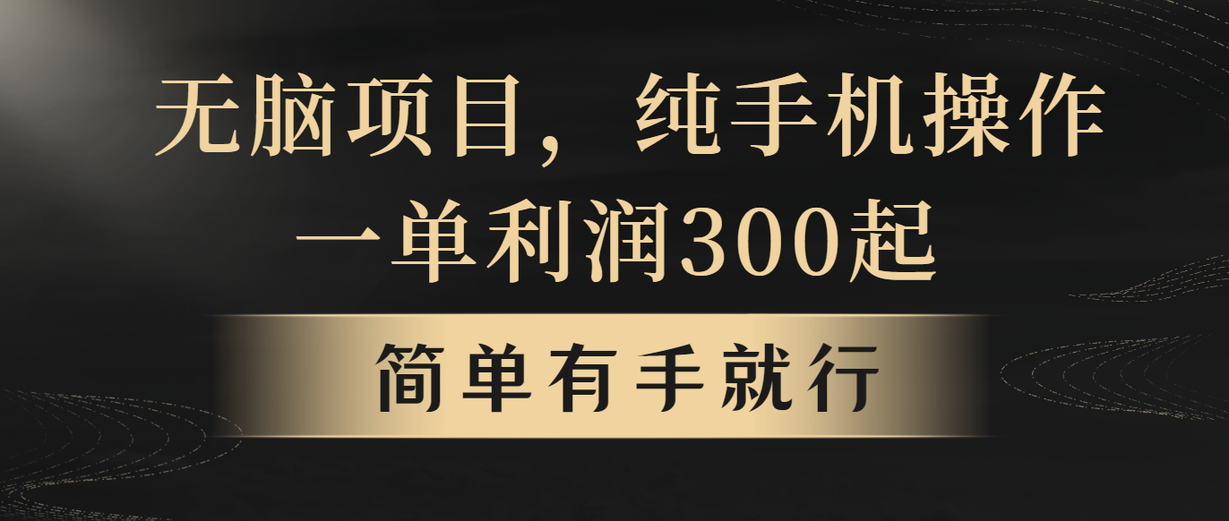 （10699期）无脑项目，一单看完就能直接操作_免费分享网络创业,副业,信息差项目的老牌资源整合平台！金铲子项目