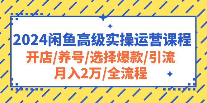 （10711期）2024闲鱼高级实操运营课程：开店/养号/选择爆款/引流/2万/全流程_免费分享网络创业,副业,信息差项目的老牌资源整合平台！金铲子项目