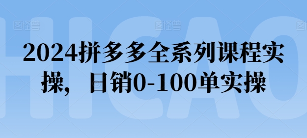 2024拼多多全系列课程实操，0-100单实操【必看】_免费分享网络创业,副业,信息差项目的老牌资源整合平台！金铲子项目