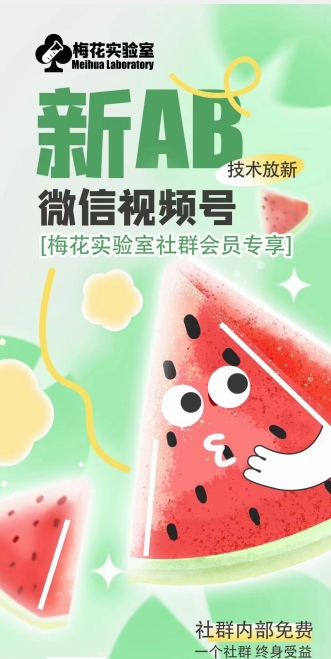 梅花实验室2024年AB技术视频号AB合成破解版_免费分享网络创业,副业,信息差项目的老牌资源整合平台！金铲子项目