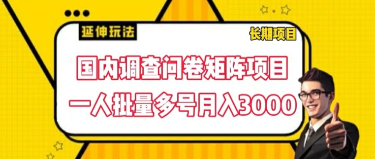国内调查问卷矩阵项目，一人批量多号_免费分享网络创业,副业,信息差项目的老牌资源整合平台！金铲子项目