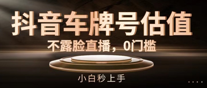 抖音车牌号估值，不露脸直播，0门槛，小白秒上手_免费分享网络创业,副业,信息差项目的老牌资源整合平台！金铲子项目