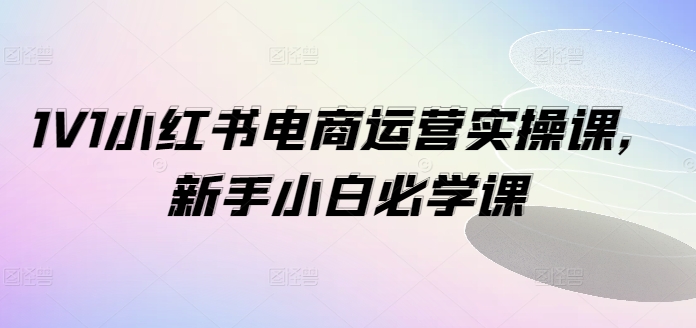 1V1小红书电商运营实操课，新手小白必学课_免费分享网络创业,副业,信息差项目的老牌资源整合平台！金铲子项目