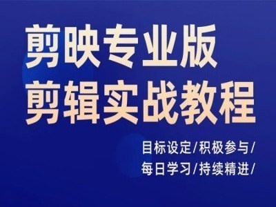 剪映专业版剪辑实战教程，目标设定/积极参与/每日学习/持续精进_免费分享网络创业,副业,信息差项目的老牌资源整合平台！金铲子项目