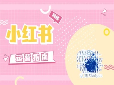 小红书运营指南，没有套路，全是经验_免费分享网络创业,副业,信息差项目的老牌资源整合平台！金铲子项目