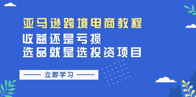 （11432期）亚马逊跨境电商教程：还是亏损选品就是选投资项目_免费分享网络创业,副业,信息差项目的老牌资源整合平台！金铲子项目