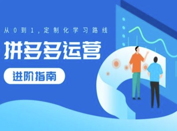 拼多多运营进阶指南，从0到1定制化学习路线_免费分享网络创业,副业,信息差项目的老牌资源整合平台！金铲子项目