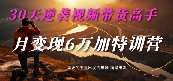 30天逆袭视频带货高手，单月6万加特训营-麦子甜_免费分享网络创业,副业,信息差项目的老牌资源整合平台！金铲子项目