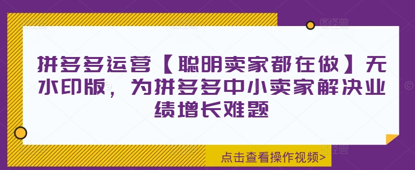 拼多多运营【聪明卖家都在做】无水印版，为拼多多中小卖家解决业绩增长难题_免费分享网络创业,副业,信息差项目的老牌资源整合平台！金铲子项目