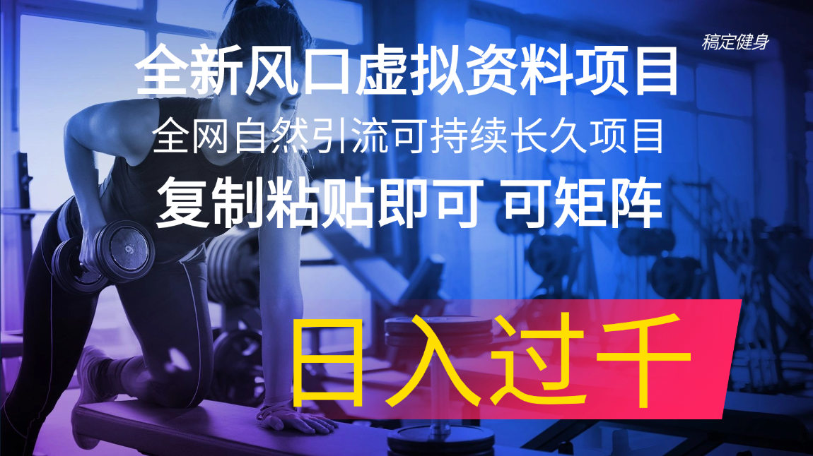 （11587期）全新风口虚拟资料项目全网自然引流可持续长久项目复制粘贴即可可矩阵…_免费分享网络创业,副业,信息差项目的老牌资源整合平台！金铲子项目