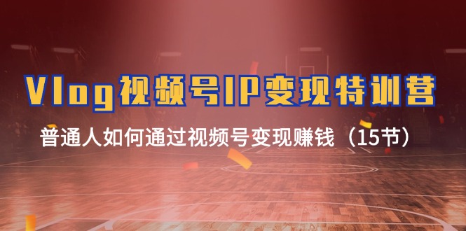 （11654期）Vlog视频号IP特训营，普通人如何通过视频号赚钱（15节）_免费分享网络创业,副业,信息差项目的老牌资源整合平台！金铲子项目