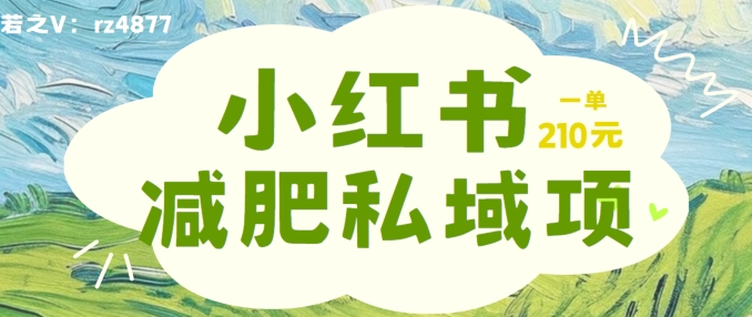 小红书减肥粉，私域项目，一单就达210元，小白也能上手_免费分享网络创业,副业,信息差项目的老牌资源整合平台！金铲子项目