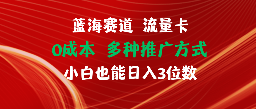 （11768期）蓝海赛道流量卡小白也能三位数_免费分享网络创业,副业,信息差项目的老牌资源整合平台！金铲子项目