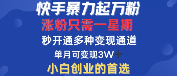 快手暴力起万粉，涨粉只需一星期，多种模式，直接秒开万合，单月过W_免费分享网络创业,副业,信息差项目的老牌资源整合平台！金铲子项目